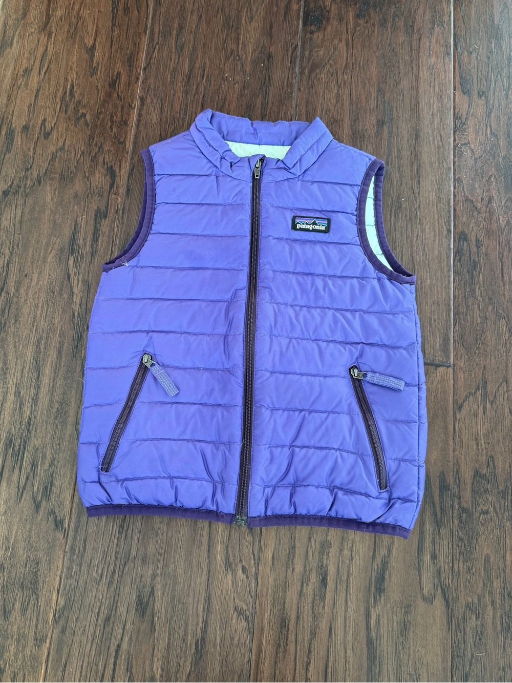 Patagonia vest